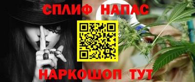 мяу мяу мука Беслан