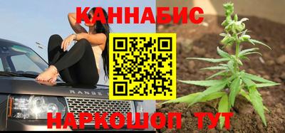 МДПВ Бийск