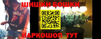 МДПВ Бийск